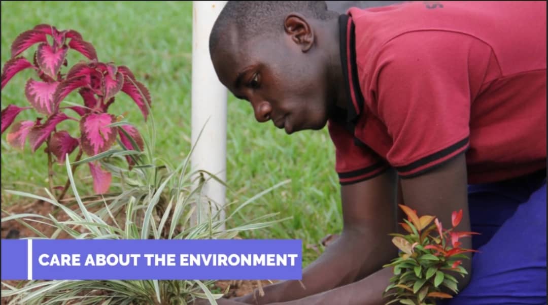 Character Tree Planting